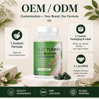 Capsules de soutien digestif à base de plantes, supplément naturel à base d'extraits botaniques, service OEM personnalisé direct usine, faible MOQ