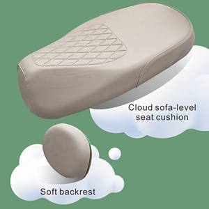 SMPLLO电动自行车持久电池寿命锂电池/铅酸48/60/72v通用45-50千米/h 3速城市 - Product Image 3