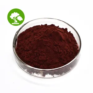 Factory Supply Natural Saffron Extract 50% Crocin Powder 100g/bag