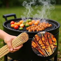 Brochettes de barbecue en bambou naturel écologiques de qualité alimentaire, pointues, biodégradables, portables, pour le camping en plein air, pour grillades au charbon de bois
