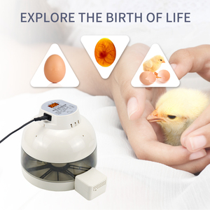 Nouvelle arrivée entièrement automatique <span class=keywords><strong>10</strong></span> oeufs de poule mini incubateur d'oeufs solaire pour un usage familial - Product Image 3