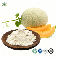 Poudre de jus de melon cantaloup de haute qualité