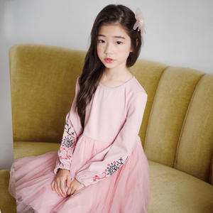 Nouvelles robes modernes en tulle brodé pour filles, robes bouffantes pour enfants, couleur rose, provenant de Chine - Product Image 4
