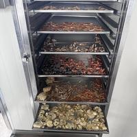 Déshydrateur alimentaire compact au gaz naturel avec contrôle intelligent de la température et circulation d'air chaud pour la séchage des fruits et des pruneaux
