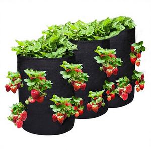 กระถางปลูกต้นไม้แบบผ้าไม่ทอ ขนาด 10 แกลลอน ยี่ห้อ Aitop OEM ผลิตตามขนาดที่ต้องการ ใช้ซ้ำได้ เป็นมิตรกับสิ่งแวดล้อม เหมาะสำหรับปลูกพืชกลางแจ้ง ถุงปลูกสตรอว์เบอร์รี่แบบผ้าสักหลาด - Product Image 1