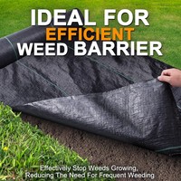 Vente en gros de tapis anti-mauvaises herbes tissés modernes de la marque SHENGXING, en rouleaux, protection UV, couverture du sol, 100% PP/PE, 70-200 g/m², modèle FCB0460
