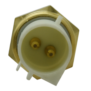 حساس درجة حرارة الهواء Baixinde F2DZ-12A697-A لسيارة فورد أوريون II 1986.03-1990.07 - Product Image 4