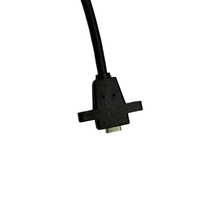 Câble USB3.1 Type C femelle DP de 0,3 m à montage sur panneau PVC, extension 8K 60 Hz pour moniteur, projecteur, haut-parleur, HDTV, ordinateur