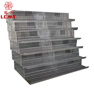 MT Group-nuevo modelo, jaula manual de codorniz tipo A de alta calidad - Product Image 6