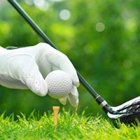 Vente en gros de tees de golf en bois de bambou avec logo personnalisé de qualité supérieure accessoires de golf de toutes les couleurs pour les clubs de golf