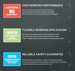 ALLMAN <span class=keywords><strong>1ton</strong></span> 2ton 3ton amiral gemisi ER serisi CE ISO9001 sertifikalı arabası tipi inşaat için ağır elektrik caraskal - Product Image 2