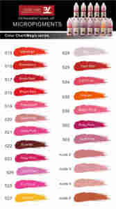 OEM organico germania 48-colore pigmento Microblading liquido per il labbro & sopracciglio trucco permanente inchiostro tatuaggio Micro pigmentazione fornitura - Product Image 5