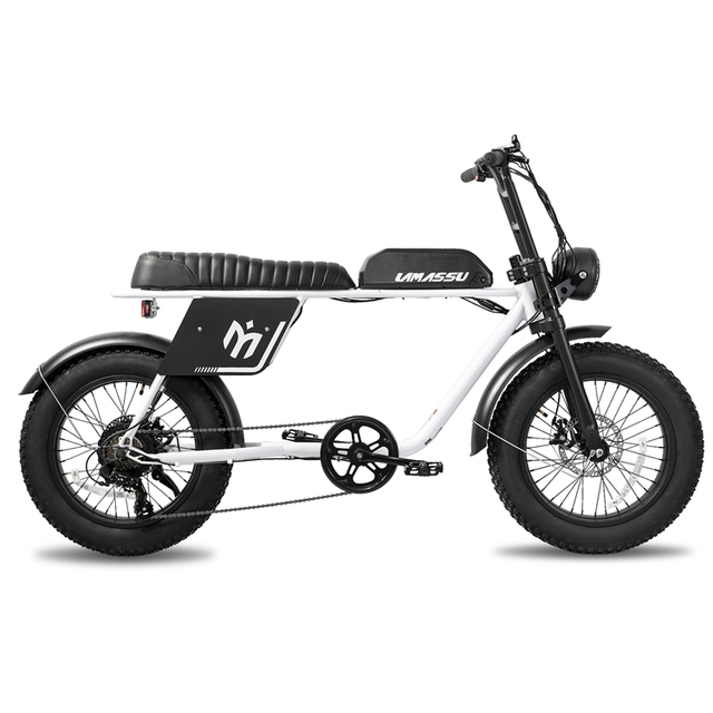 JOYKIE Fast Speed Electric Bicycles with Dual Motor Ebike 48V Dual Battery Fat Tire Electric Bike for Adult