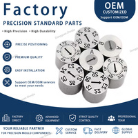 ZHENJIA Insert de dateur interchangeable et recyclable SUS420 pour marquage de date sur moule d'injection plastique de précision