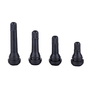 Nắp Van Lốp Xe Hơi Huỳnh Quang Thân Van Lốp Không Săm - Product Image 2