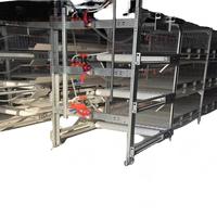 Système de cages en batterie multifonctionnelles automatiques de type H pour poulets de chair avec poulailler et cage à poules pondeuses