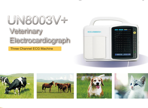 Tragbares digitales 12-Kanal-Touchscreen-EKG-EKG-Gerät für Hunde - Product Image 3