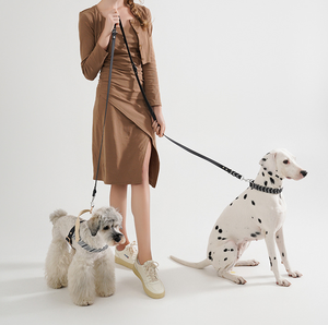 Conjunto de Correa y <span class=keywords><strong>Collar</strong></span> para Mascotas de Cuero PU Trenzado a Mano, Ajustable, Duradero, Suave y de Lujo, Correa Retráctil para Perros con Manos Libres - Product Image 3