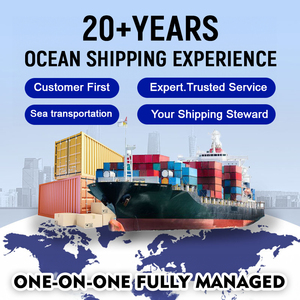 Expédition FCL à bas prix Chine <span class=keywords><strong>BEIRA</strong></span> Mozambique Conteneurs 20GP/40GP/40HQ Transitaire mondial 26-48 jours de transit Service logistique avec assurance - Product Image 2