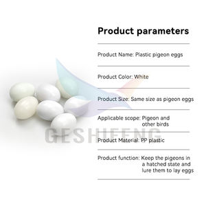 <span class=keywords><strong>Oeufs</strong></span> de pigeon en plastique oeuf solide - Product Image 2