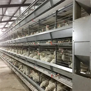 100000 automatico H tipo galline ovaiole filo zincato strato di pollo gabbia allevamento di pollame In Kenya