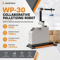 Robot palettiseur automatique électrique pour emballage de cartons en verre, bras robotisé collaboratif de 40 kg de charge utile pour ligne d'emballage