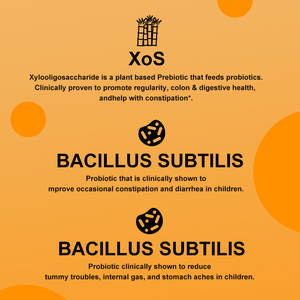 <strong>Private</strong> <strong>Label</strong> 1 Billion CFUs Berry Probiotic Gummy Chewable Probiotic Supplement - Product Image 6