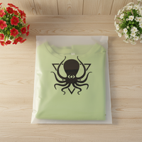 Sac en plastique biodégradable pour la maison avec fermeture autocollante, sac d'emballage biodégradable givré pour vêtements