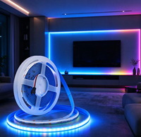 Bande LED intelligente numérique adressable COB à couleurs magiques RGB décoratives Music Sync 2811