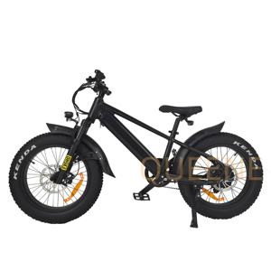 QUEENE/Vélo électrique pour enfants 20 pouces 10AH Moteur Batterie amovible Vélo tout-terrain électrique pour enfants de 7 à 12 ans - Product Image 1