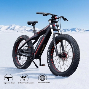 Bicicleta de Montaña de Fibra de Carbono sin Escobillas, 48v 750w, Batería de Litio Integrada, Frenos de Disco Mecánicos, Neumáticos Anchos, Impermeable, Es750 de Alta Potencia - Product Image 1
