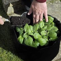 Sacs biodégradables pour plantes Serre végétale Jardin Polyester Sacs de culture Planteur Sacs de culture