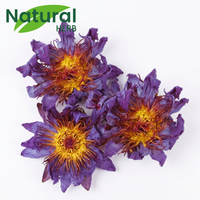 100% Bunga Teratai Biru Kering Alami Utuh Nymphaea Caerulea Teh Herbal Bunga Kemasan Besar