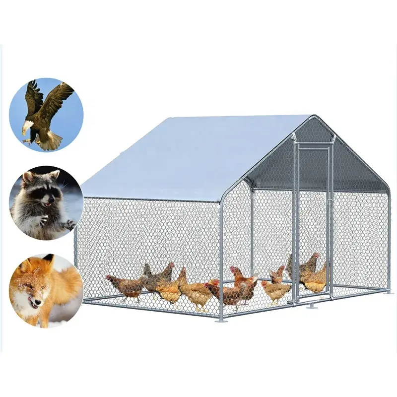 Sunshade Outdoor Poultry Chicken Cage Hen House New Product 2020 Chicken Coop Chicken Farm