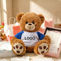 Ours en peluche personnalisé avec t-shirt, ours en peluche en vrac, ours en peluche doux, ours en peluche promotionnel, jouet cadeau