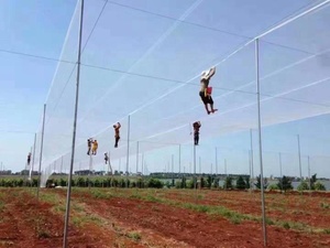 Screen <strong>house</strong> <strong>anti</strong> <strong>hail</strong> <strong>net</strong> with high quality made by 100% new HDPE - Product Image 3
