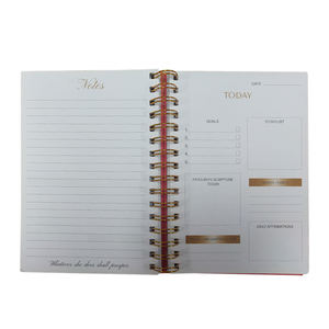 Popular School Subject <b>Planner</b> Spiral Binding PP Cover Eco-friendly Colorful Printing Notebook with Custom Logo - Product Image 2