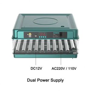 Incubateur d'oeufs à température <span class=keywords><strong>automatique</strong></span> Usine <span class=keywords><strong>Meilleur</strong></span> prix 56 Pcs Mini incubateur d'oeufs de poulet à alimentation en eau <span class=keywords><strong>automatique</strong></span> - Product Image 5