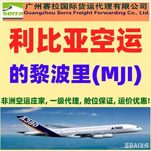 Agente de Carga Aérea Africana, Carga Aérea en Marruecos, Carga Aérea Internacional en Casablanca, Guangzhou, Shenzhen, Ningbo, Shanghái, Qingdao - Product Image 3