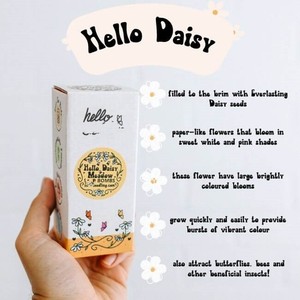 งานฝีมือแฮนด์เมดในร่มชุดระเบิด semilla Hello Daisy Meadow 3 X - Product Image 3