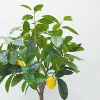 Citronnier artificiel, arbre fruitier en pot, plante verte pour la décoration intérieure de style nordique, affichage commercial pour la photographie