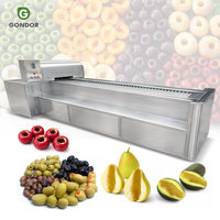 Fruitontpitter Appelontpitter Jujube India Ontpitmachine Dadel- en Olijfontpitter Cerise Ontpitmachine