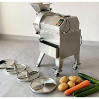 Coupe-légumes et fruits professionnel électrique double usage pour carottes, choux et oignons