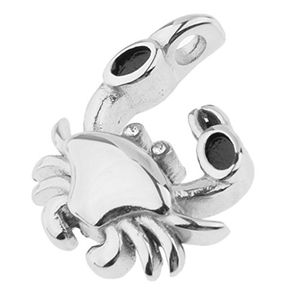 Collana Commemorativa in Acciaio Inox Placcato Argento con Ciondolo Portaceneri a Forma di Granchio per Animali Domestici - Product Image 5