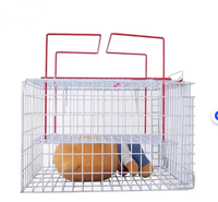Cage à chat de taille moyenne de haute qualité en gros, cage d'injection pour chat, cage anti-morsure et anti-compression pour animaux de compagnie