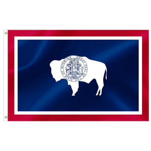 Drapeaux de l'État de Washington 3x5FT en polyester avec œillets métalliques pour fêtes, défilés, événements sportifs, décorations extérieures - Product Image 4