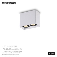 Spot LED de plafond étanche IP65 2x2W, design fin, double tête carrée, pour intérieur et extérieur, montage en surface
