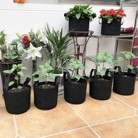 Hotsales Plastic Donkergroene Tuinplanter Zak 10 Gallon Beluchting Pe Stof Aardappel Kweek Groente Planter Gemakkelijke Toegang