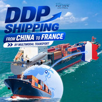 Services de Consolidation et d'Entreposage DDP Chine vers France et Irlande pour le Commerce de Gros Maritime