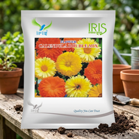 Mélange Iris & Calendula Hybride OP – Graines de fleurs importées à double pétales, plantes à croissance rapide en 95 jours pour fleurs fraîches coupées